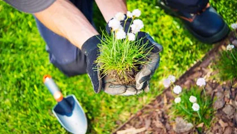 Garden maintenance team